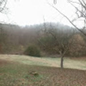 Meet your Posher, Joyce